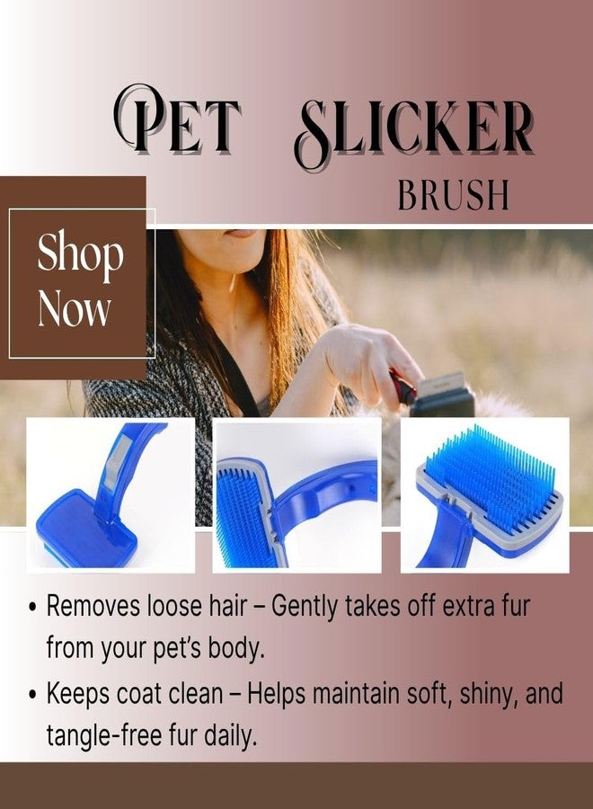 REGIIS 3-Piece Pet Grooming Brush Set - Slicker Brush, Bath Scrubber & Flea Comb for Pets, Pack of 3 - Image 3